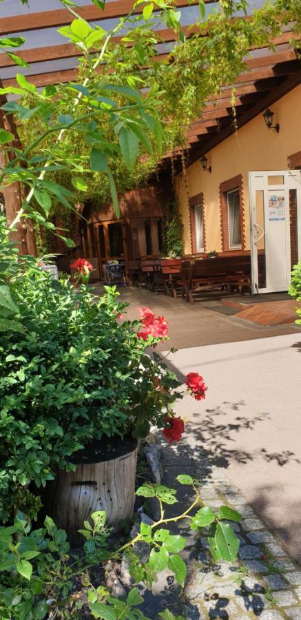 Siedlisko Pod Debem Hotel Wilimy Bagian luar foto