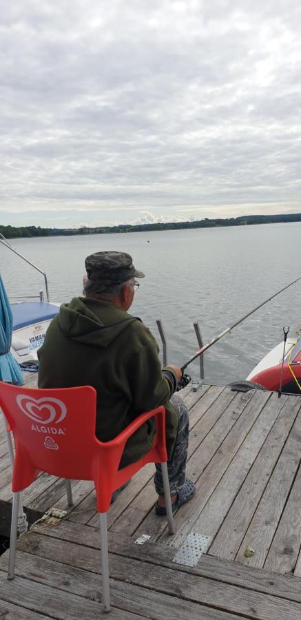 Siedlisko Pod Debem Hotel Wilimy Bagian luar foto