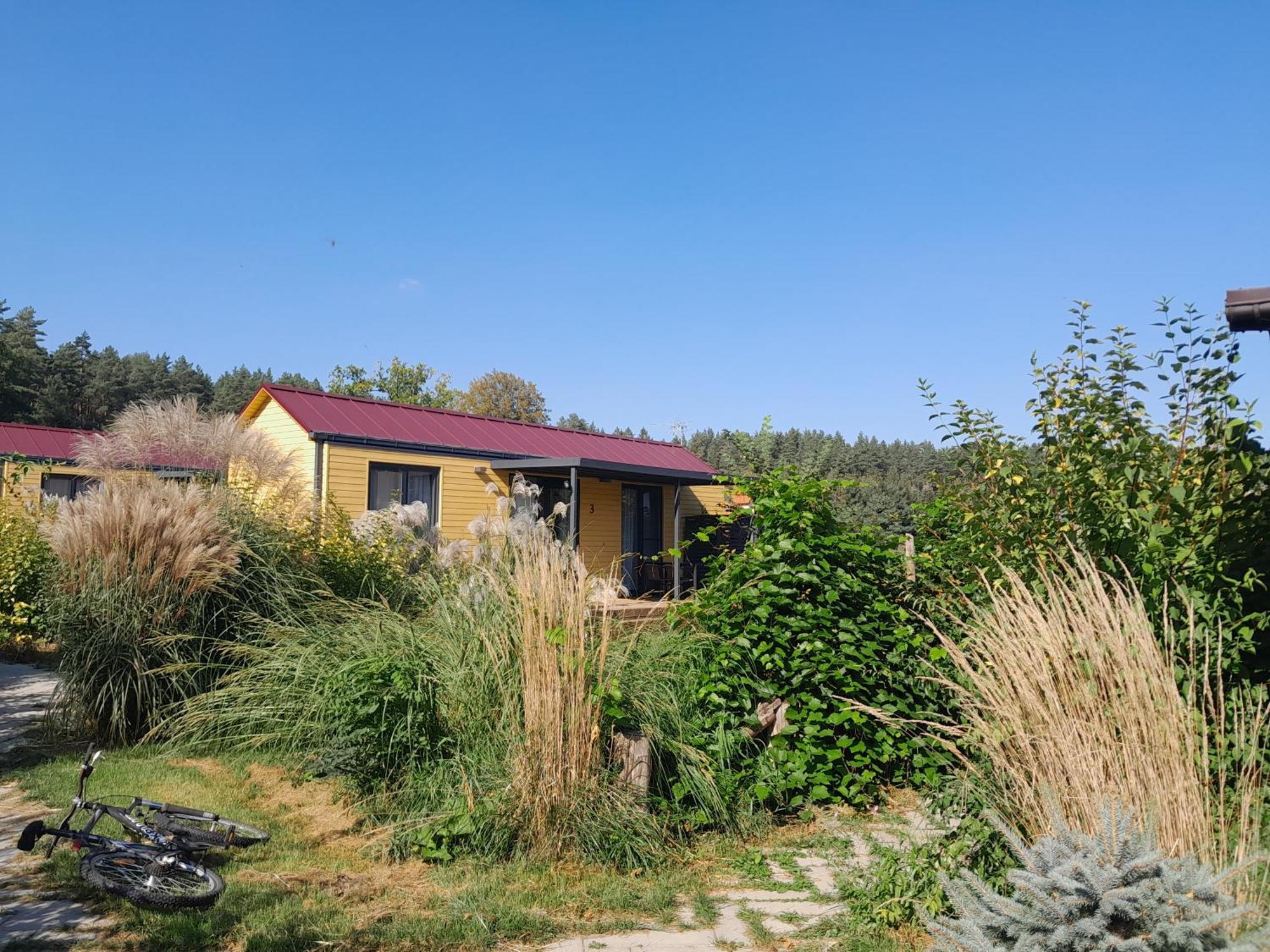 Siedlisko Pod Debem Hotel Wilimy Bagian luar foto