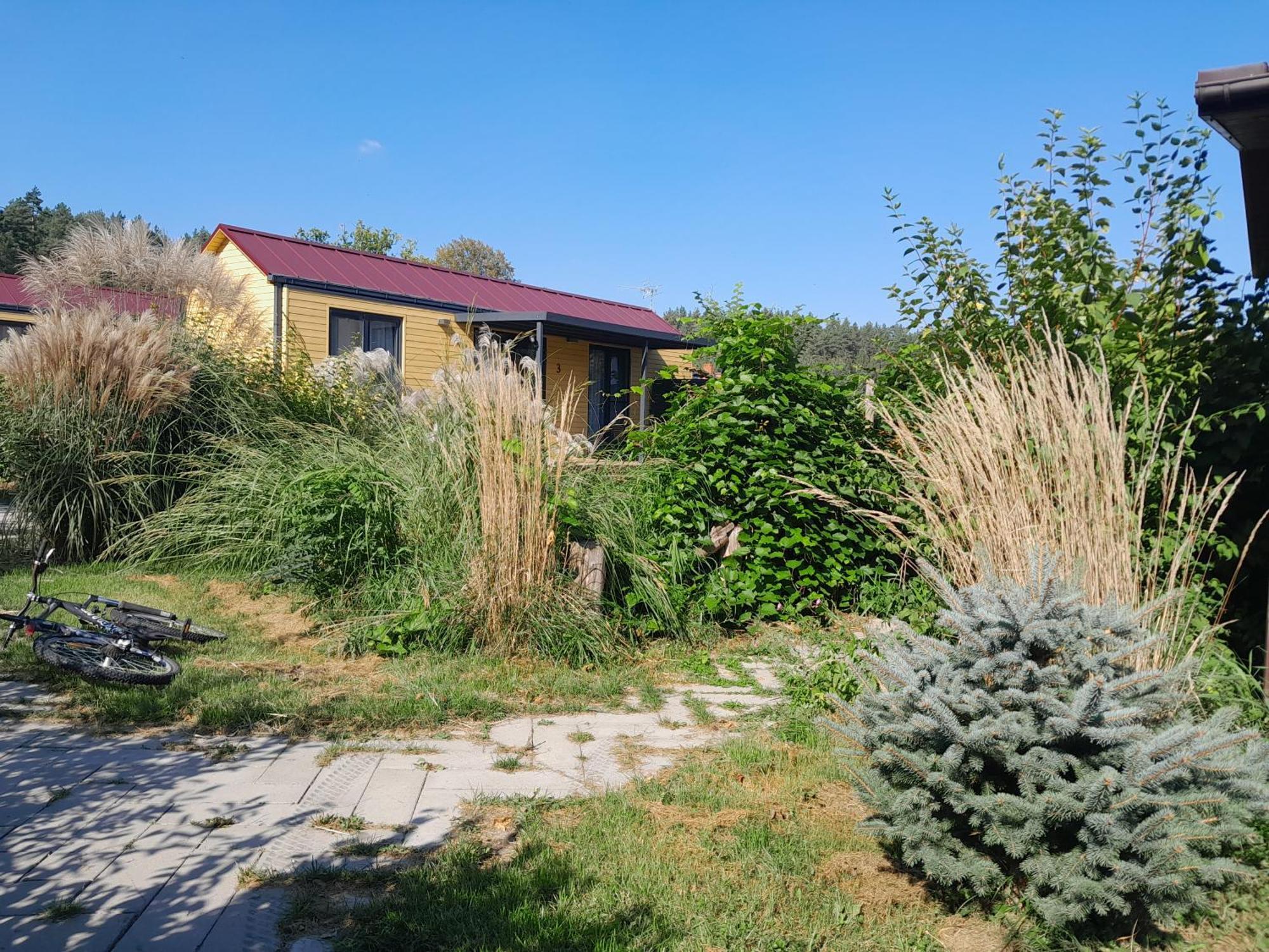 Siedlisko Pod Debem Hotel Wilimy Bagian luar foto