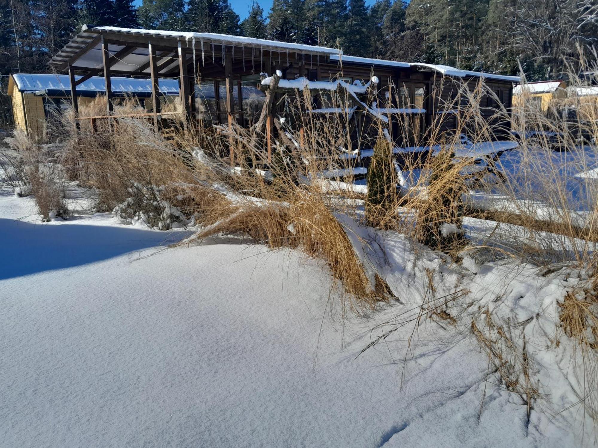 Siedlisko Pod Debem Hotel Wilimy Bagian luar foto